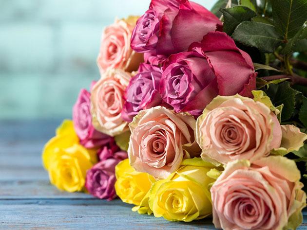 Get 2 Dozen Farmer’s Color Choice Long-Stem Roses for Only $19.99! (Shipping Not Included) for $19