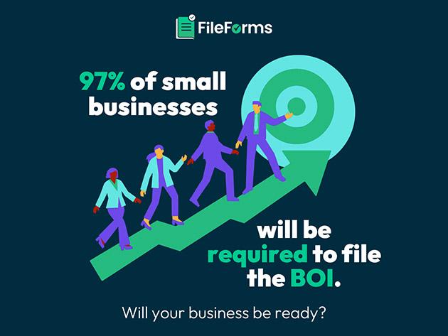 FileForms BOI Report Filing for $89